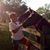 Annette Malone Watson's profile image