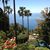 Madalyn Hauber's profile image