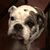 Suzannah Plant's profile image