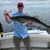 Mike Carter's profile image
