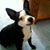 Lucille Tagliere's profile image
