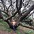 Kathy Chastain's profile image