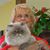 Janice Ray Hackney's profile image