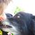 Susan Upton-Hughes's profile image