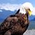 Mike Toler's profile image