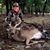 Tiana Renea Mills's profile image