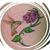 Robyn L Braun's profile image