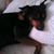 Elaine Tillman Combs's profile image