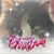 Dare Wilson's profile image