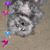 Pamela Hynson's profile image