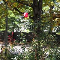 Valerie Bruno Olynyk's profile image