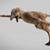 Terry Schneider MacFarland's profile image