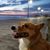 Keith Bull's profile image