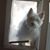 Sharon Traweek Hudson's profile image