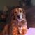 Jill Saylor's profile image