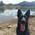 Kerry Sloan Southern's profile image