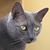 Kathy Bryant Curley's profile image