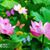 Denise Calloway's profile image