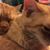 Nancy Kelley Yendes's profile image