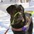 Dawn Rudolph's profile image