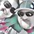 Turi Rosaschi's profile image