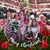 Shirley Mattock's profile image