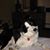 Susan Davis's profile image