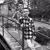 Sarah Nicole Dillahay-Bussey's profile image