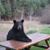 Shelly Harris's profile image
