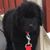 Jill Dyer's profile image