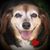 Angie Nicholson's profile image