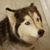 Joanne Barton's profile image