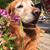 Patti Raymond's profile image