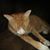 Katy Chillon Kline's profile image