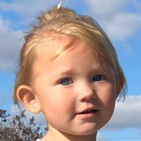 Dora Shull's profile image