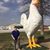Jeremy Jackson's profile image