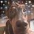 Heather Gardner's profile image