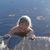 Anita Lorenz Lützhøft's profile image