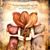 Michele Vattimo Cassada's profile image