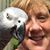 Barbara Thompson's profile image