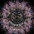 Sheila Ebelein's profile image