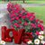Brenda House Branum's profile image