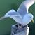 Michelle Stroffolino Schmidt's profile image