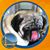 David Dooley's profile image