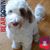 Karen Johnson Taubert's profile image