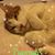 Kathie Fette Morales's profile image