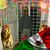 Ernesto Macedonio's profile image