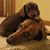Susie Cartwright's profile image