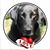 Karen Coppola's profile image