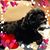 Kimiko White's profile image